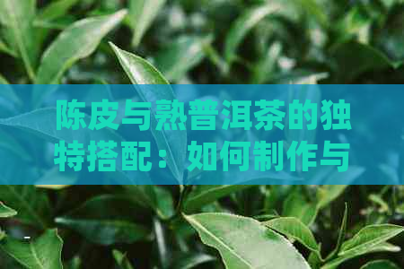 陈皮与熟普洱茶的独特搭配：如何制作与品尝？