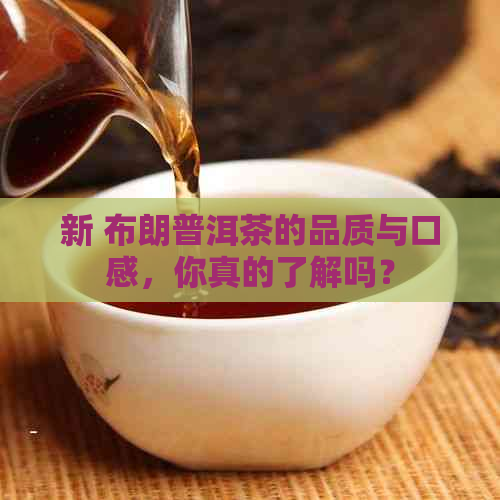 新 布朗普洱茶的品质与口感，你真的了解吗？