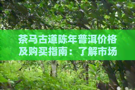 茶马古道陈年普洱价格及购买指南：了解市场行情、品鉴方法和收藏技巧