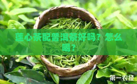 莲心茶配普洱茶好吗？怎么喝？