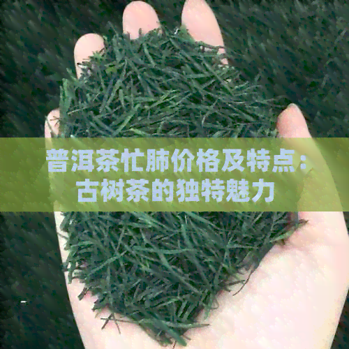 普洱茶忙肺价格及特点：古树茶的独特魅力