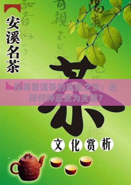 探寻普洱茶的完美之饮：选择何种壶更为关键？