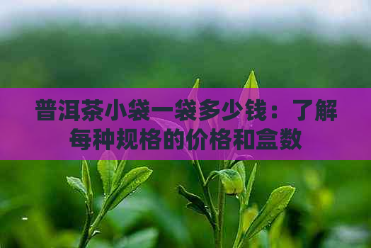 普洱茶小袋一袋多少钱：了解每种规格的价格和盒数