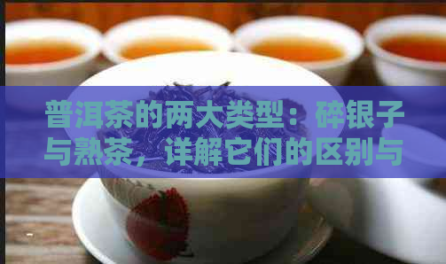 普洱茶的两大类型：碎银子与熟茶，详解它们的区别与特点