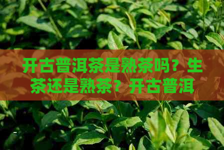 开古普洱茶是熟茶吗？生茶还是熟茶？开古普洱茶叶多少钱一盒？