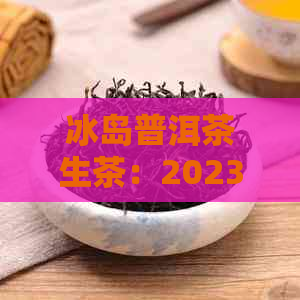 冰岛普洱茶生茶：2023年最新价格分析，品质与价值探讨