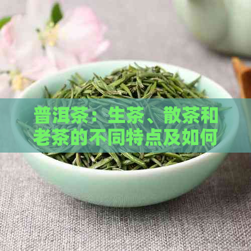 普洱茶：生茶、散茶和老茶的不同特点及如何挑选适合自己的普洱茶