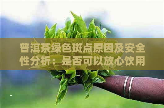 普洱茶绿色斑点原因及安全性分析：是否可以放心饮用？