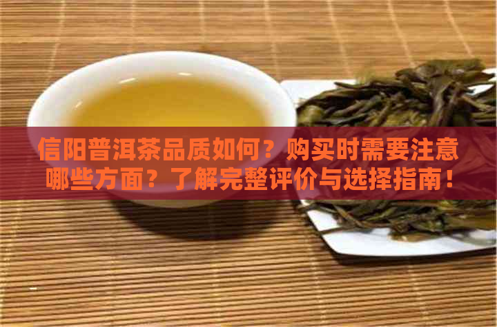 信阳普洱茶品质如何？购买时需要注意哪些方面？了解完整评价与选择指南！