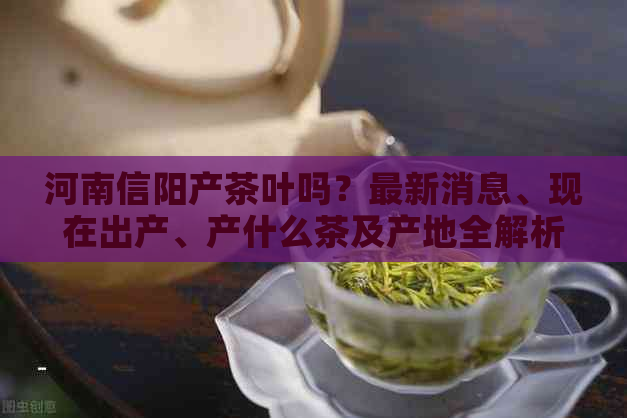 河南信阳产茶叶吗？最新消息、现在出产、产什么茶及产地全解析