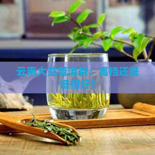 云南大益普洱茶：高档还是低档好？