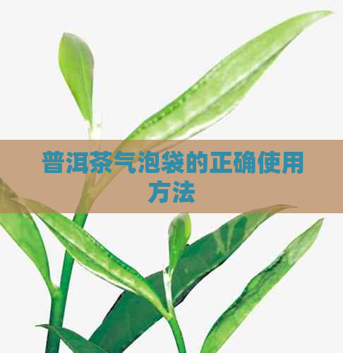 普洱茶气泡袋的正确使用方法