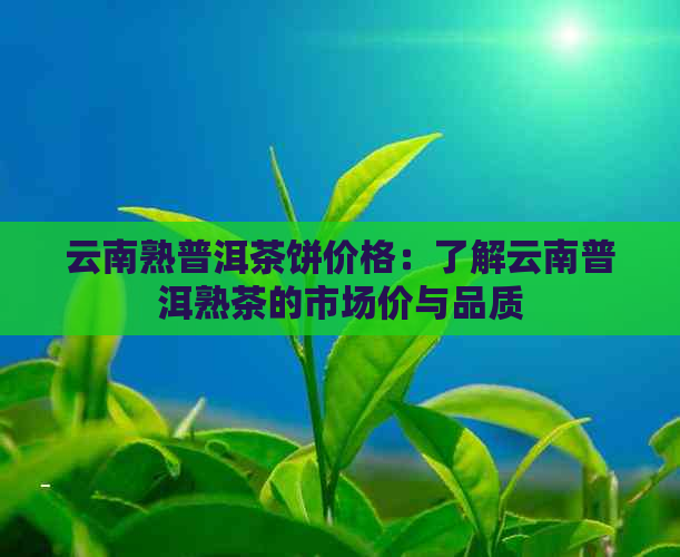 云南熟普洱茶饼价格：了解云南普洱熟茶的市场价与品质