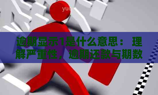 逾期显示1是什么意思： 理解严重性，逾期还款与期数解析