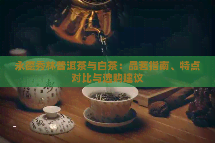 永德秀林普洱茶与白茶：品茗指南、特点对比与选购建议