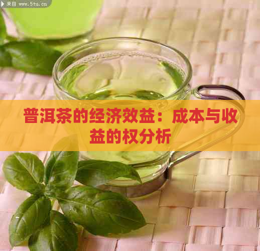 普洱茶的经济效益：成本与收益的权分析