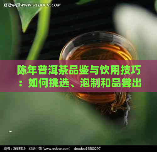 陈年普洱茶品鉴与饮用技巧：如何挑选、泡制和品尝出口感？