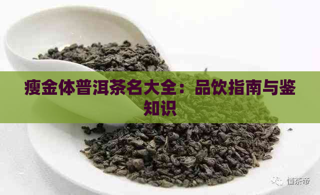 瘦金体普洱茶名大全：品饮指南与鉴知识