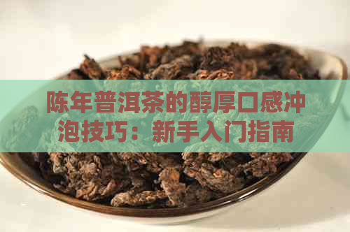 陈年普洱茶的醇厚口感冲泡技巧：新手入门指南