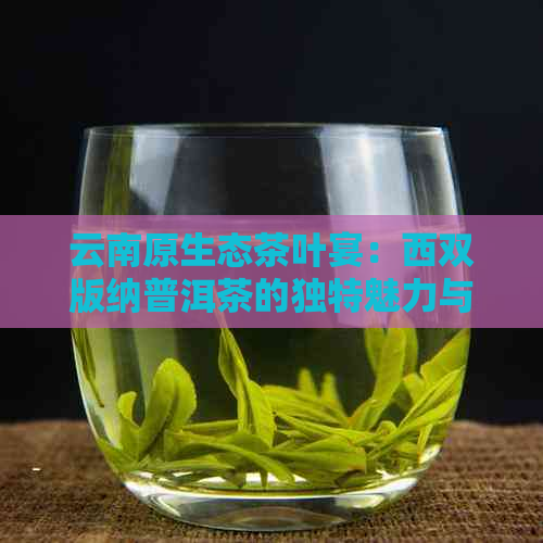 云南原生态茶叶宴：西双版纳普洱茶的独特魅力与品种探究