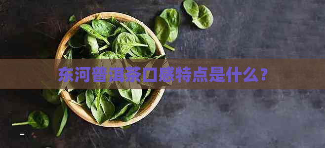 东河普洱茶口感特点是什么？