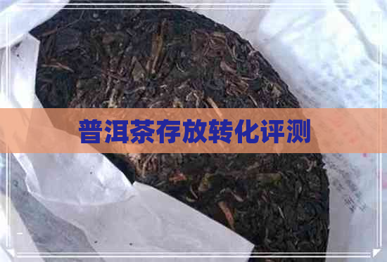 普洱茶存放转化评测