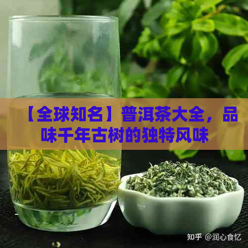 【全球知名】普洱茶大全，品味千年古树的独特风味