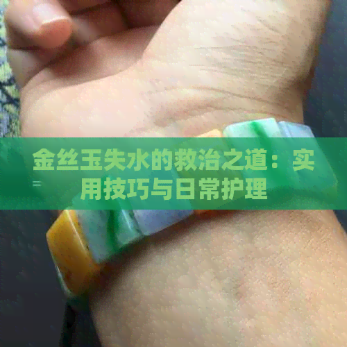 金丝玉失水的救治之道：实用技巧与日常护理