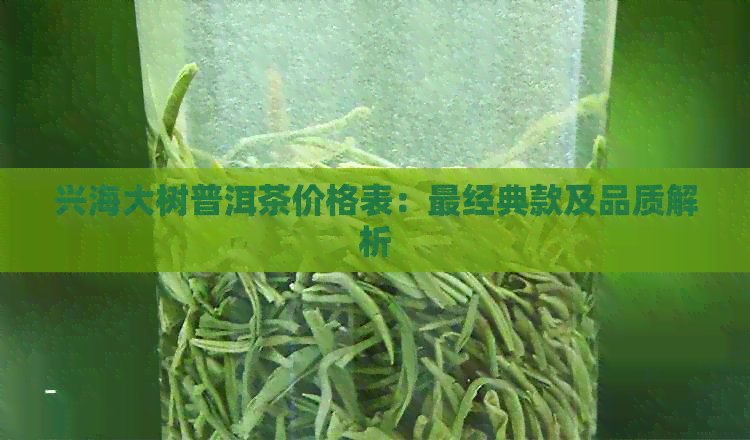 兴海大树普洱茶价格表：最经典款及品质解析