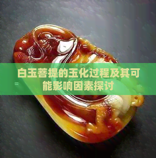 白玉菩提的玉化过程及其可能影响因素探讨