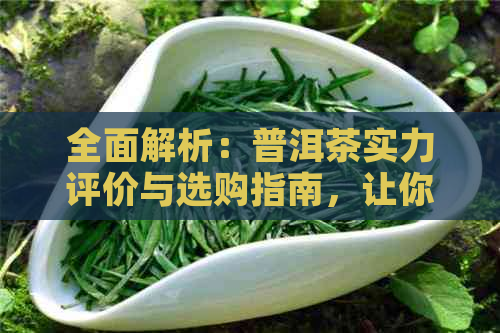 全面解析：普洱茶实力评价与选购指南，让你轻松成为普洱茶专家