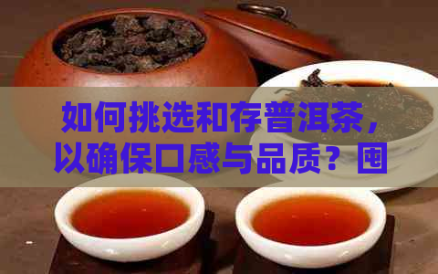 如何挑选和存普洱茶，以确保口感与品质？囤积哪些种类的普洱茶更美味？