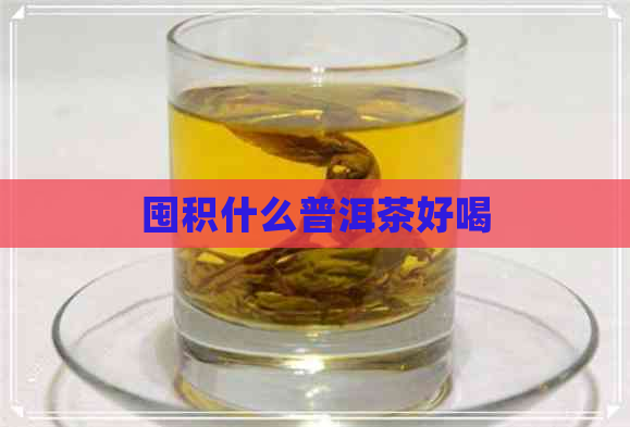 囤积什么普洱茶好喝