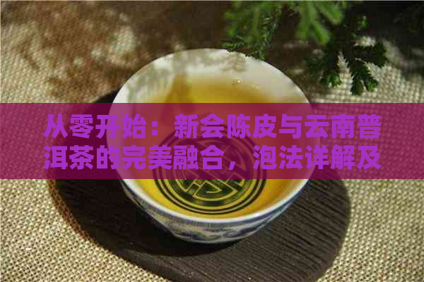 从零开始：新会陈皮与云南普洱茶的完美融合，泡法详解及品鉴技巧