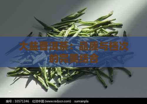 大益普洱茶：品质与档次的完美结合