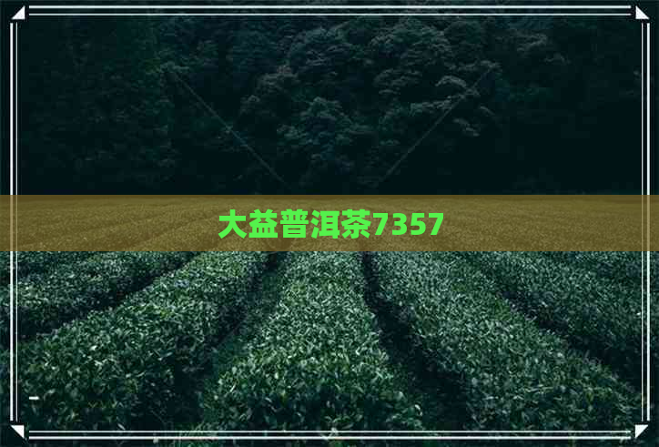 大益普洱茶7357