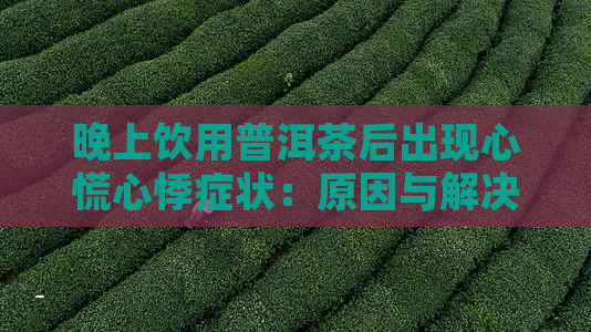 晚上饮用普洱茶后出现心慌心悸症状：原因与解决方法