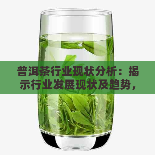 普洱茶行业现状分析：揭示行业发展现状及趋势，调查数据展示产业发展状况。