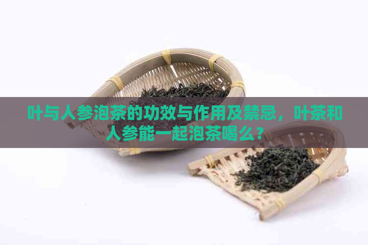 叶与人参泡茶的功效与作用及禁忌，叶茶和人参能一起泡茶喝么？