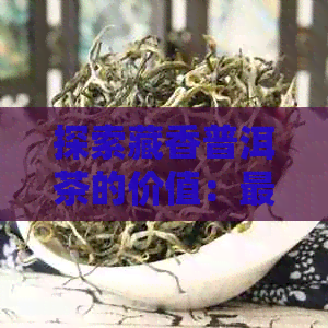 探索藏香普洱茶的价值：最新价格趋势分析