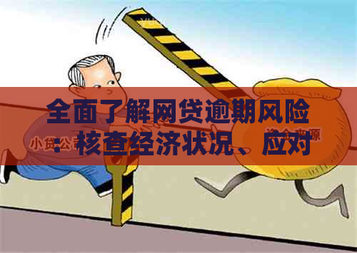 全面了解网贷逾期风险：核查经济状况、应对策略与常见疑问解答