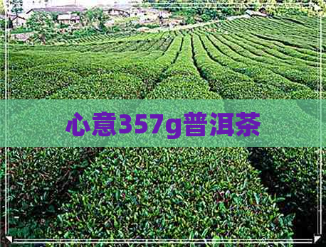 心意357g普洱茶