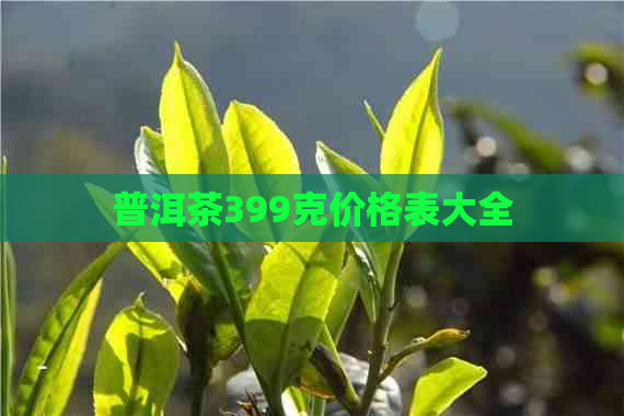 普洱茶399克价格表大全