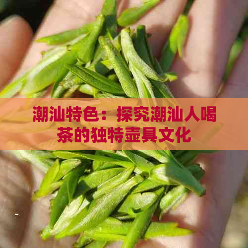 潮汕特色：探究潮汕人喝茶的独特壶具文化