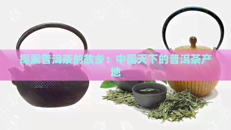 探索普洱茶的故乡：中国天下的普洱茶产地