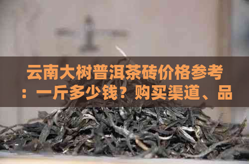 云南大树普洱茶砖价格参考：一斤多少钱？购买渠道、品质等级等全面解析