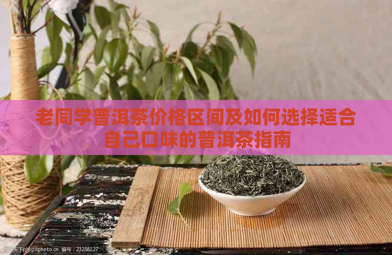 老同学普洱茶价格区间及如何选择适合自己口味的普洱茶指南