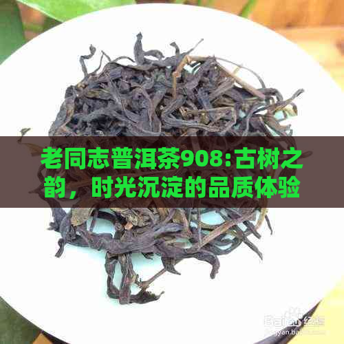 老同志普洱茶908:古树之韵，时光沉淀的品质体验