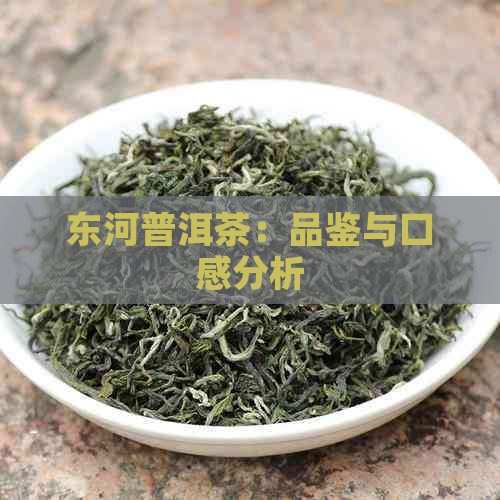 东河普洱茶：品鉴与口感分析