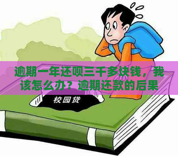 逾期一年还呗三千多块钱，我该怎么办？逾期还款的后果和解决方法全解析